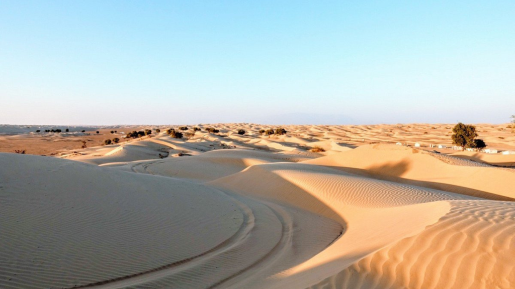 Wahiba Sands, Adventure Activities in Oman - 6 - Xplore Middle East and Africa